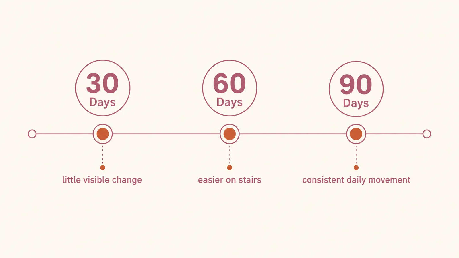 Simple timeline chart showing Cosequin joint supplement results at 30, 60, and 90 days for a small dog