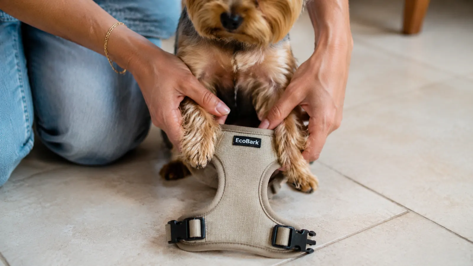 Woman's hands gently guiding a small Yorkie's front paws into a mesh step-in harness on a tiled floor