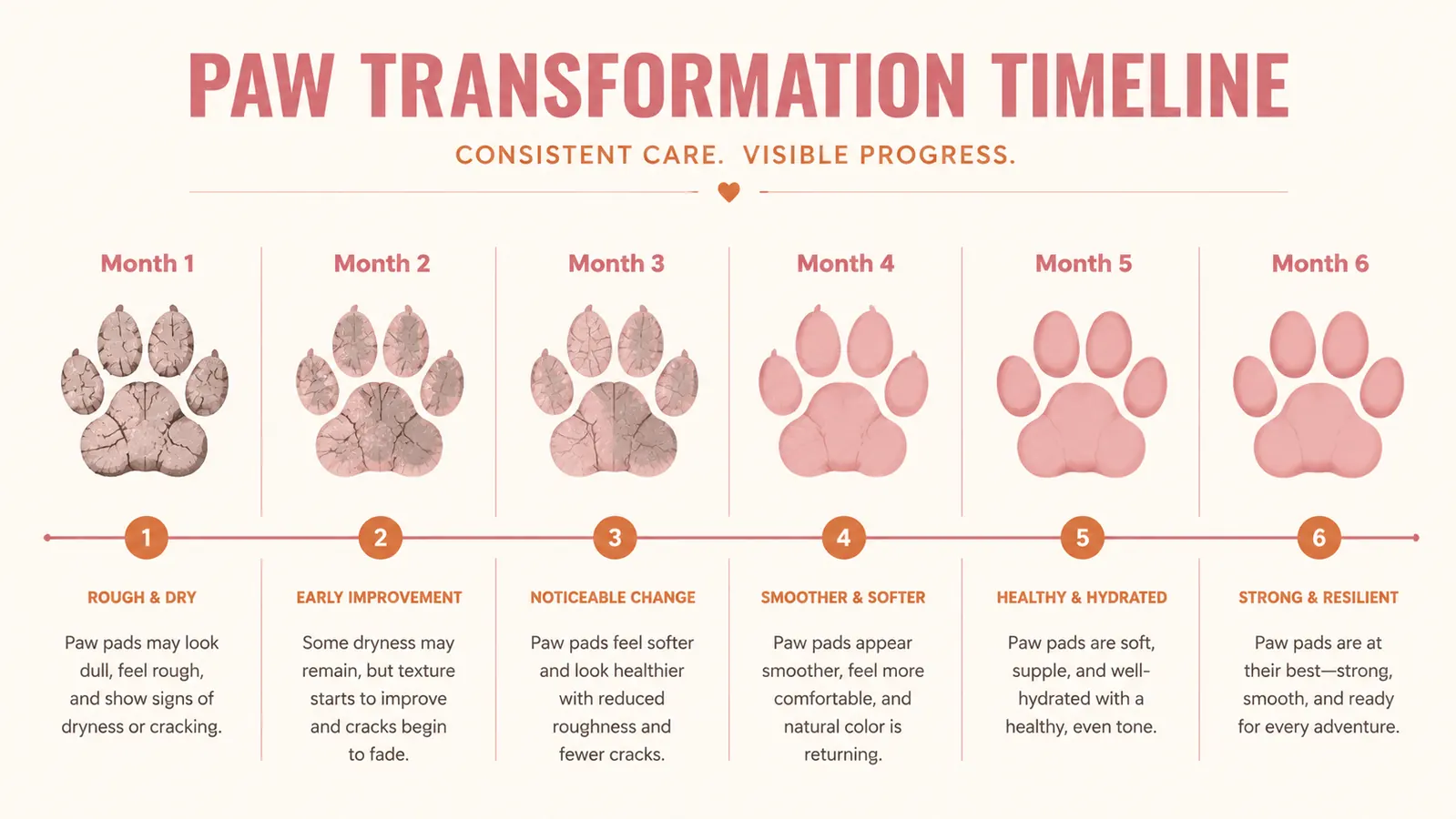Progression chart showing paw pad texture change over six months from rough and cracked to smooth and pink